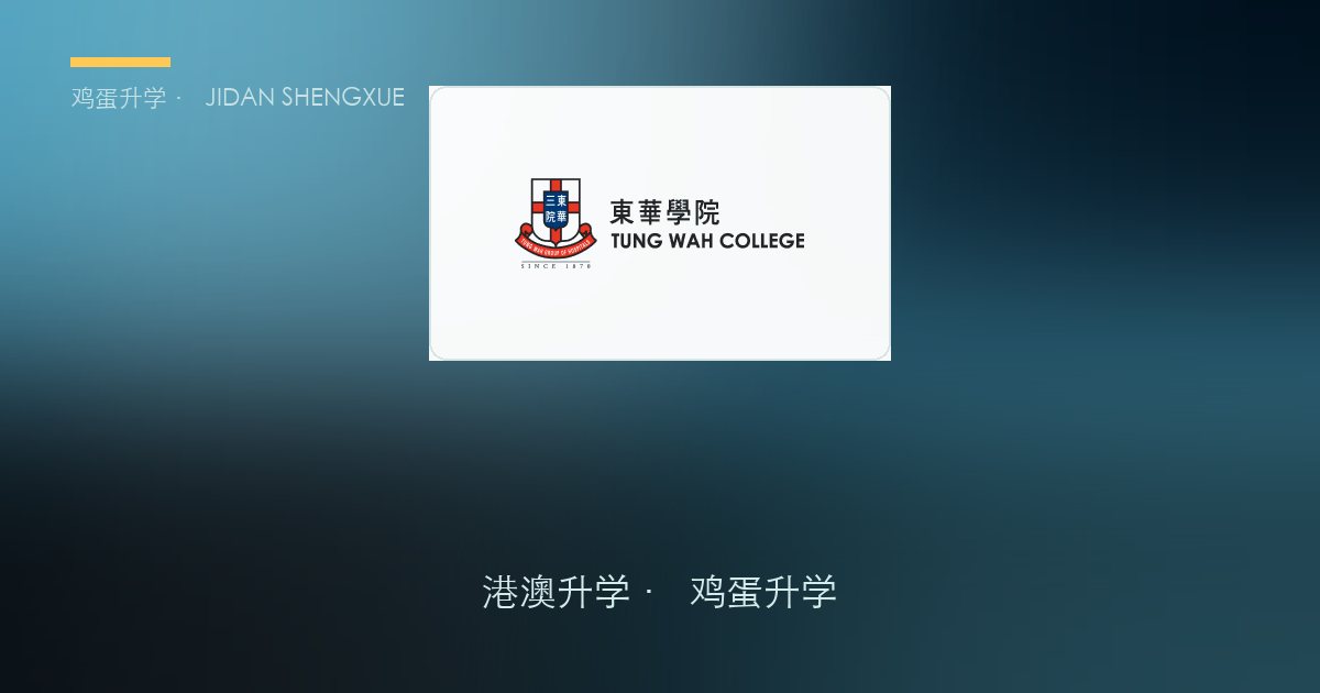 东华学院2026年内地本科生入学简章要点解读