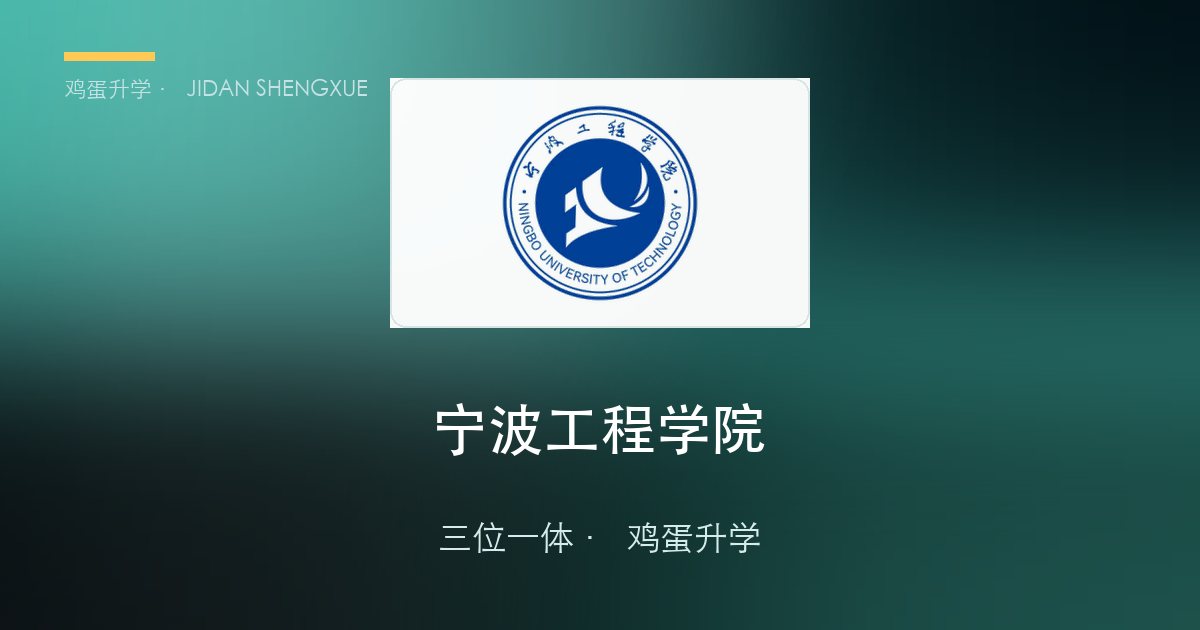 宁波工程学院2026年浙江"三位一体"招生简章要点解读